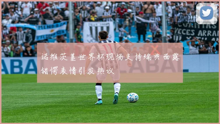 诺维茨基世界杯现场支持瑞典面露错愕表情引发热议